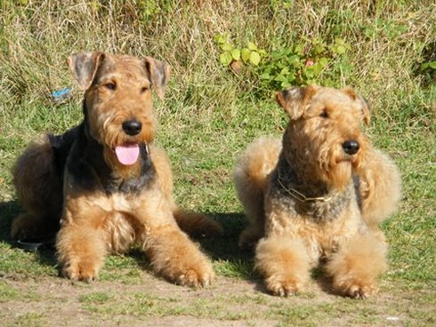 Porter mit Mutter Kara