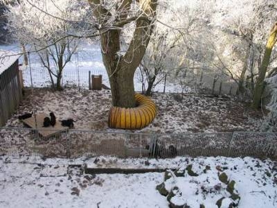 Und immer wieder Schnee