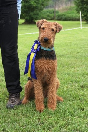 Tom Takoda gen. Kalle