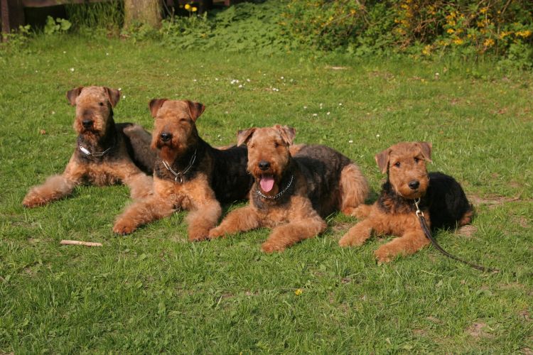 Ascha-Clairchen-Kara-Peer-Ole