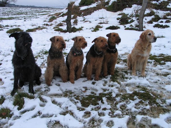 Solscheider und ihre Freunde
