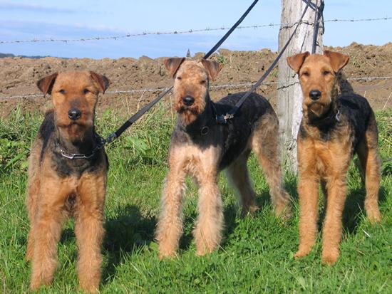 Jule-Clairchen-Lilly