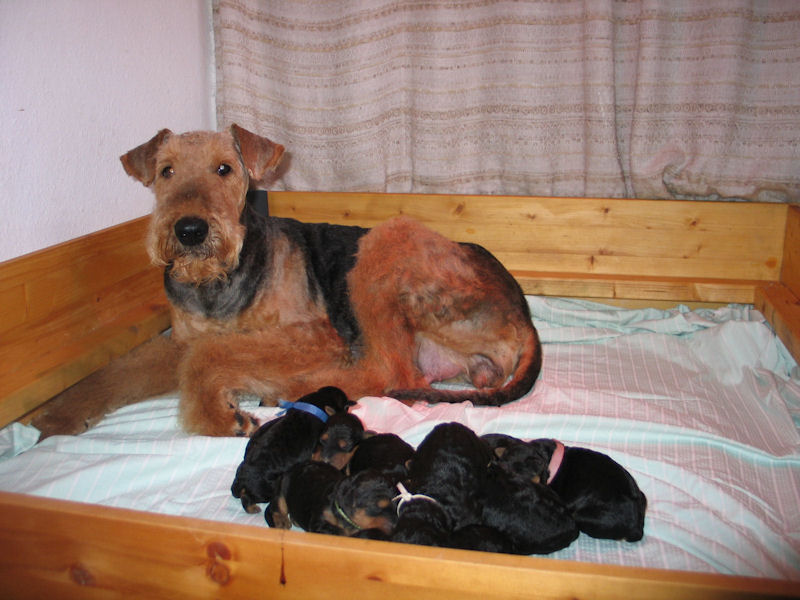 Ruhe ist angesagt...